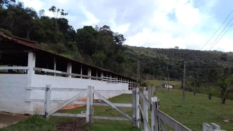 Imagem Imóvel com 7 Quartos à Venda, 400 m² em águas Claras - São José Do Vale Do Rio Preto Imagem Imóvel com 7 Quartos à Venda, 400 m² em águas Claras - São José Do Vale Do Rio Preto
