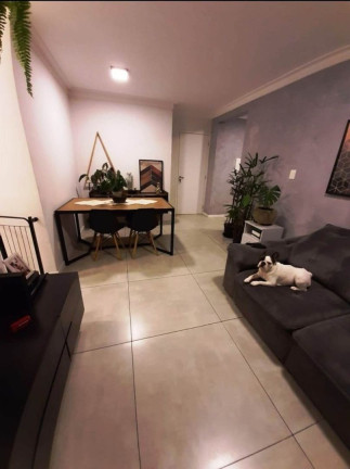 Imagem Imóvel com 2 Quartos à Venda, 55 m² em Vila Matilde - São Paulo Imagem Imóvel com 2 Quartos à Venda, 55 m² em Vila Matilde - São Paulo