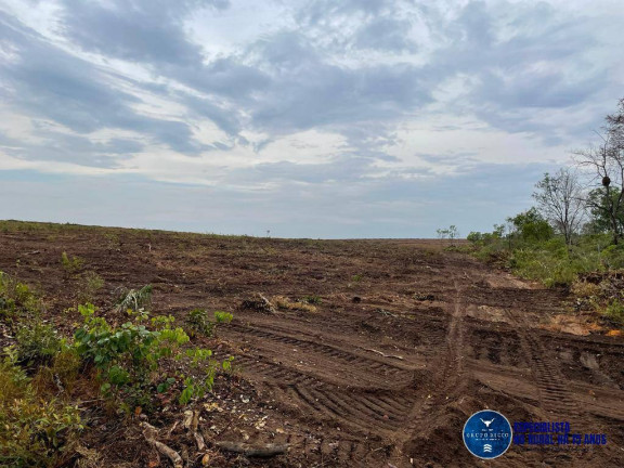 Imagem Fazenda à Venda, 1 m² em Zona Rural - Goiatins Imagem Fazenda à Venda, 1 m² em Zona Rural - Goiatins