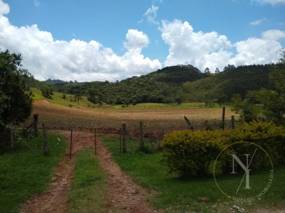 Imagem Imóvel com 3 Quartos à Venda, 1.968.000 m² em Centro - Joanópolis