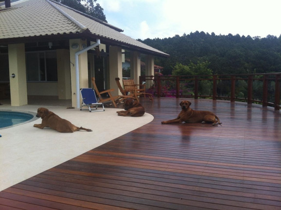 Imagem Casa com 6 Quartos à Venda, 493 m² em João Paulo - Florianópolis Imagem Casa com 6 Quartos à Venda, 493 m² em João Paulo - Florianópolis