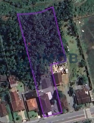 Terreno à Venda, 3.367 m² em Ilha Da Figueira - Jaraguá Do Sul