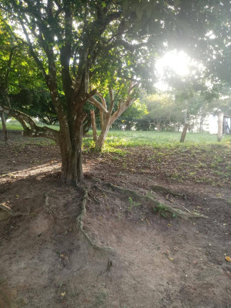 Imagem Chácara com 3 Quartos à Venda, 32 m² em Três Vendas - Araruama Imagem Chácara com 3 Quartos à Venda, 32 m² em Três Vendas - Araruama