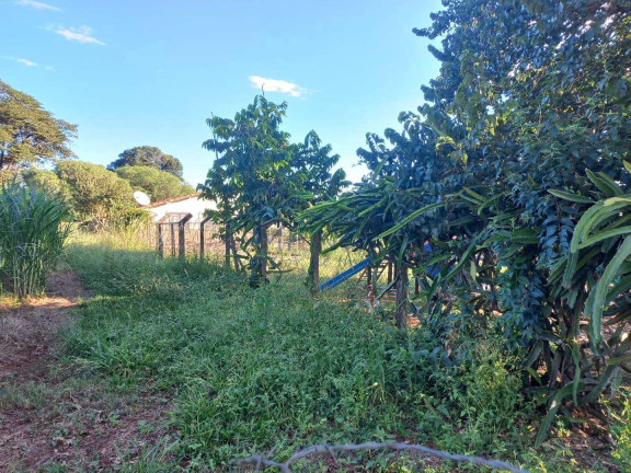 Imagem Fazenda à Venda, 65.340 m² em Bonfim - Pirassununga Imagem Fazenda à Venda, 65.340 m² em Bonfim - Pirassununga