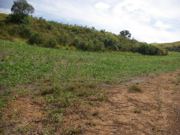 Imagem Imóvel à Venda, 435.600 m² em Zona Rural - Jacui