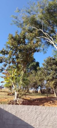 Imagem Imóvel com 2 Quartos à Venda, 120 m² em Bairro Barro Branco - Lagoinha Imagem Imóvel com 2 Quartos à Venda, 120 m² em Bairro Barro Branco - Lagoinha