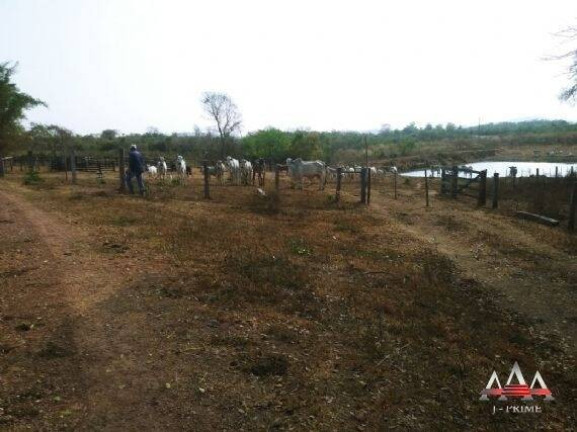 Imagem Fazenda à Venda, 324 m² em Zona Rural - Nova Brasilândia Imagem Fazenda à Venda, 324 m² em Zona Rural - Nova Brasilândia