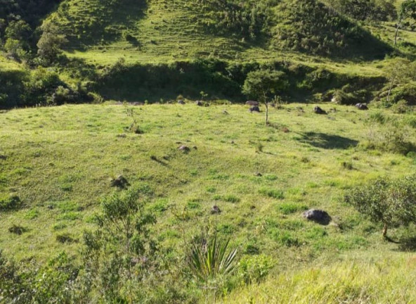 Imagem Fazenda à Venda, 726.000 m² em Tomba - Feira De Santana Imagem Fazenda à Venda, 726.000 m² em Tomba - Feira De Santana