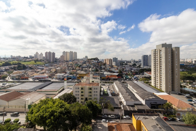 Imagem Apartamento com 3 Quartos à Venda, 107 m² em Piqueri - São Paulo Imagem Apartamento com 3 Quartos à Venda, 107 m² em Piqueri - São Paulo
