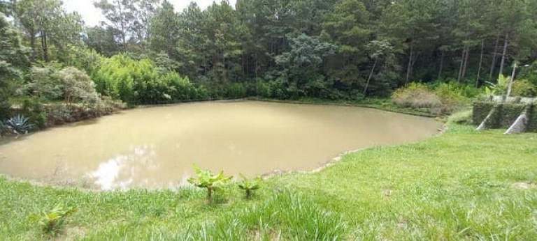 Imagem Imóvel com 4 Quartos à Venda, em Itapetinga - Atibaia Imagem Imóvel com 4 Quartos à Venda, em Itapetinga - Atibaia