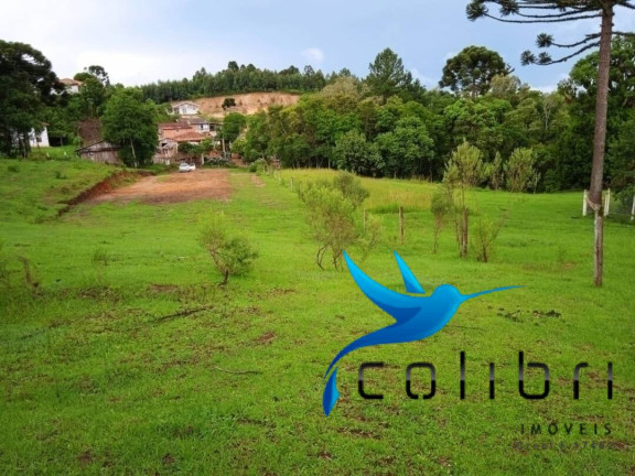 Imagem Terreno à Venda, 3.785 m² em Pinheiro Ocado - Agudos Do Sul Imagem Terreno à Venda, 3.785 m² em Pinheiro Ocado - Agudos Do Sul
