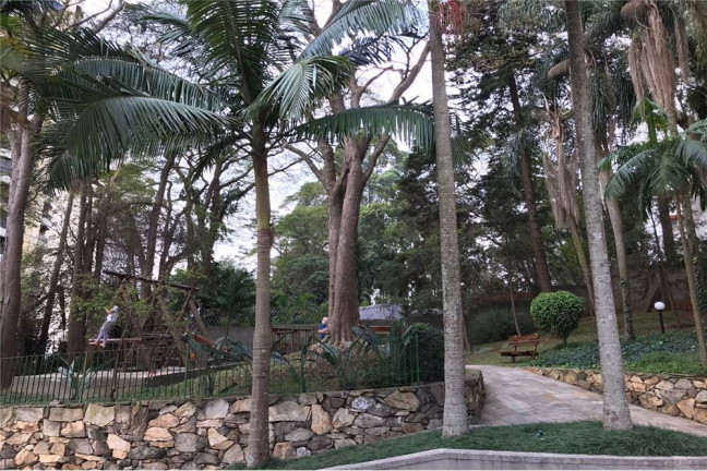 Imagem Imóvel com 3 Quartos à Venda,  em Jardim Colombo - São Paulo