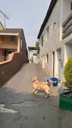 Imagem Casa com 3 Quartos à Venda, 490 m² em Centro - Carapicuíba
