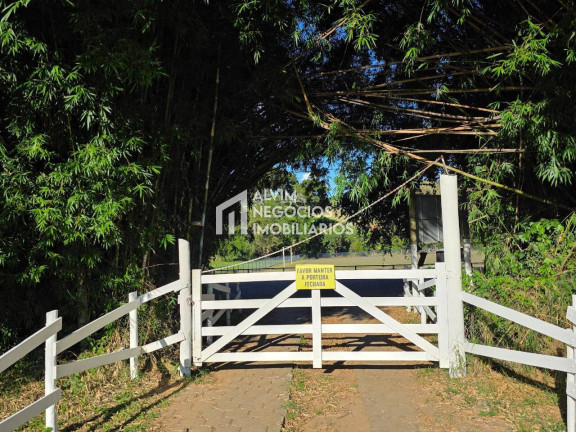 Imagem Chácara com 3 Quartos à Venda, 53.000 m² em Estrada Jardim - Itanhandu Imagem Chácara com 3 Quartos à Venda, 53.000 m² em Estrada Jardim - Itanhandu