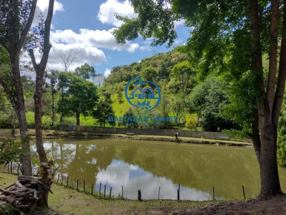 Imagem Imóvel com 3 Quartos à Venda, 58.000 m² em Salesópolis Imagem Imóvel com 3 Quartos à Venda, 58.000 m² em Salesópolis