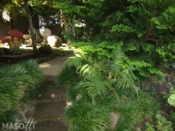 Imagem Casa com 3 Quartos à Venda, 245 m² em Mato Queimado - Gramado Imagem Casa com 3 Quartos à Venda, 245 m² em Mato Queimado - Gramado