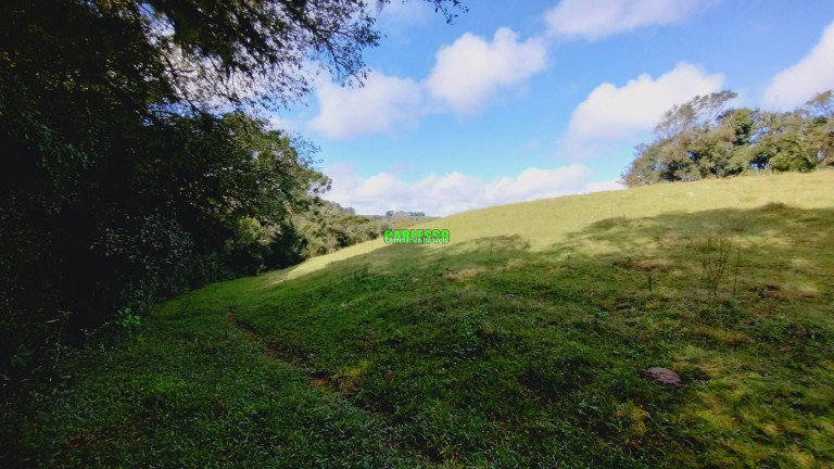 Imagem Terreno à Venda, 60.000 m² em Zona Rural - Ivorá Imagem Terreno à Venda, 60.000 m² em Zona Rural - Ivorá