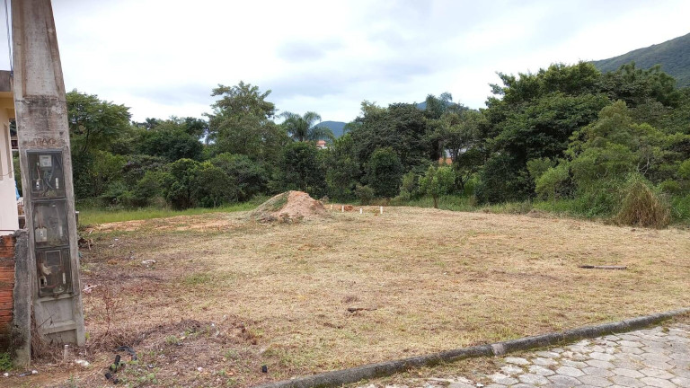 Imagem Terreno à Venda, em Areias Do Meio (bosque Da Colina) - Governador Celso Ramos Imagem Terreno à Venda, em Areias Do Meio (bosque Da Colina) - Governador Celso Ramos