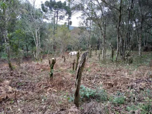 Imagem Imóvel com 4 Quartos à Venda, 24.200 m² em água Azul - Lapa Imagem Imóvel com 4 Quartos à Venda, 24.200 m² em água Azul - Lapa