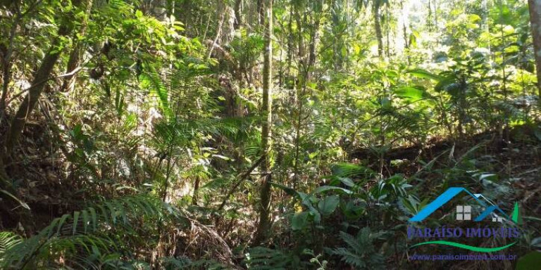 Imagem Chácara à Venda, 155 m² em Centro - Paraisópolis Imagem Chácara à Venda, 155 m² em Centro - Paraisópolis