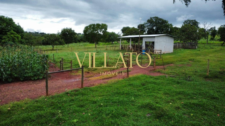 Imagem Chácara com 3 Quartos à Venda, 13 m² em Setor Central - Faina Imagem Chácara com 3 Quartos à Venda, 13 m² em Setor Central - Faina