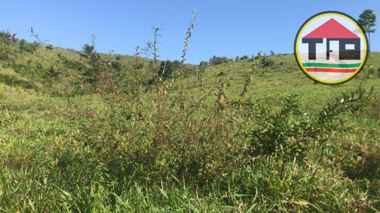 Imagem Fazenda à Venda, 8.131.200 m² em Logradouro Sem Nome, Novo Repartimento - Pa, 68473-000, Brasil -4.759492, -49.588326 - Novo Repartimento Imagem Fazenda à Venda, 8.131.200 m² em Logradouro Sem Nome, Novo Repartimento - Pa, 68473-000, Brasil -4.759492, -49.588326 - Novo Repartimento