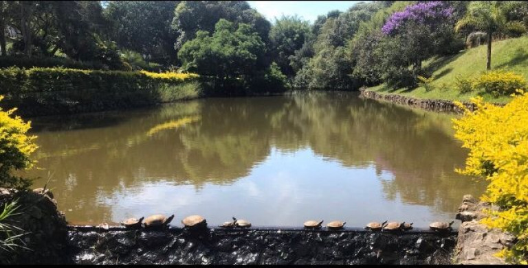 Imagem Imóvel com 3 Quartos à Venda, em Granja Viana Ii - Cotia Imagem Imóvel com 3 Quartos à Venda, em Granja Viana Ii - Cotia