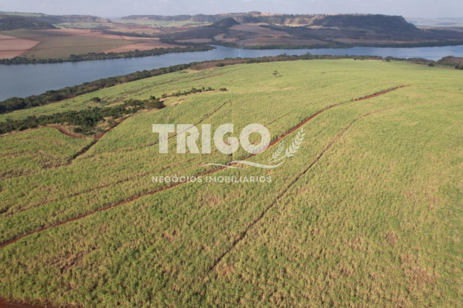 Imagem Fazenda à Venda, 56 m² em Zona Rural - Igarapava