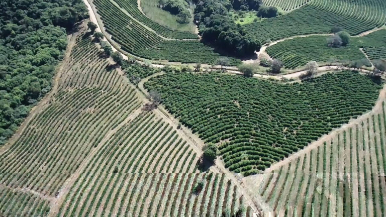 Imagem Fazenda à Venda, 31 m² em Poços De Caldas Imagem Fazenda à Venda, 31 m² em Poços De Caldas