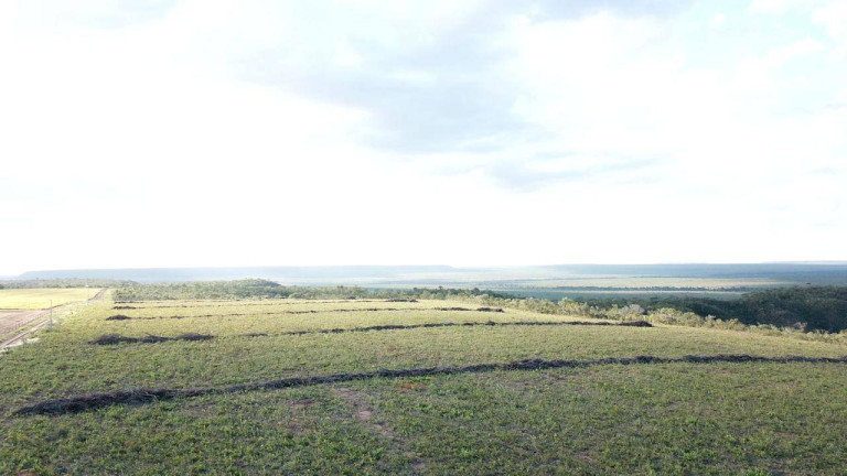 Imagem Fazenda à Venda, 1 m² em Mateiros Imagem Fazenda à Venda, 1 m² em Mateiros