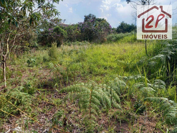 Imagem Terreno à Venda, 10.000 m² em São Benedito - Monteiro Lobato Imagem Terreno à Venda, 10.000 m² em São Benedito - Monteiro Lobato