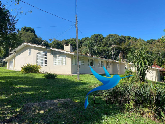 Imagem Chácara com 4 Quartos à Venda, 24.200 m² em Ribeirão Raso - Agudos Do Sul Imagem Chácara com 4 Quartos à Venda, 24.200 m² em Ribeirão Raso - Agudos Do Sul