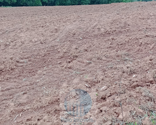 Imagem Imóvel com 3 Quartos à Venda, 270.000 m² em Pinhal - Jacuí Imagem Imóvel com 3 Quartos à Venda, 270.000 m² em Pinhal - Jacuí