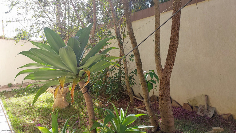 Imagem Imóvel com 4 Quartos à Venda, em Jardim Paulista - Atibaia Imagem Imóvel com 4 Quartos à Venda, em Jardim Paulista - Atibaia