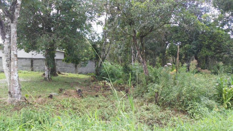 Imagem Terreno à Venda, 288 m² em Jardim Luiza Mar Mirim - Itanhaém Imagem Terreno à Venda, 288 m² em Jardim Luiza Mar Mirim - Itanhaém
