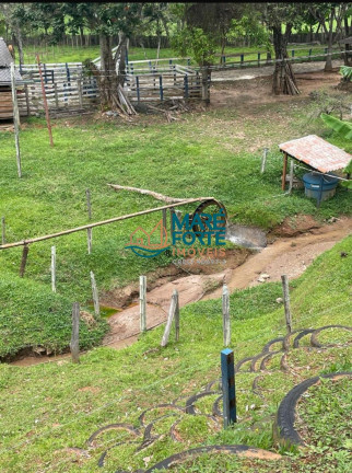 Imagem Fazenda à Venda, 56 m² em Centro - São José Do Alegre Imagem Fazenda à Venda, 56 m² em Centro - São José Do Alegre