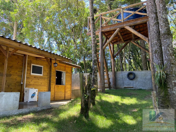 Imagem Chácara com 2 Quartos à Venda, 2.800 m² em Barro Preto - São José Dos Pinhais