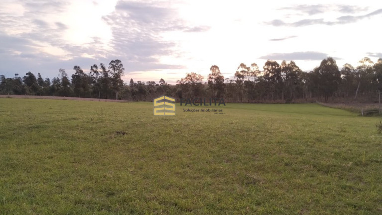 Imagem Imóvel com 3 Quartos à Venda, 660.000 m² em Hidráulica - Capão Do Leão Imagem Imóvel com 3 Quartos à Venda, 660.000 m² em Hidráulica - Capão Do Leão