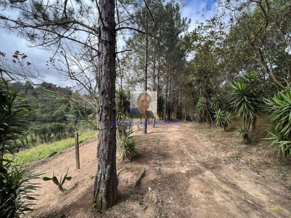 Imagem Terreno à Venda, 18.455 m² em Taboleiro Verde - Cotia Imagem Terreno à Venda, 18.455 m² em Taboleiro Verde - Cotia