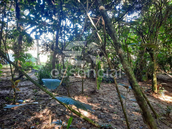 Imagem Casa com 2 Quartos à Venda, 100 m² em Praia Do Prumirim - Ubatuba
