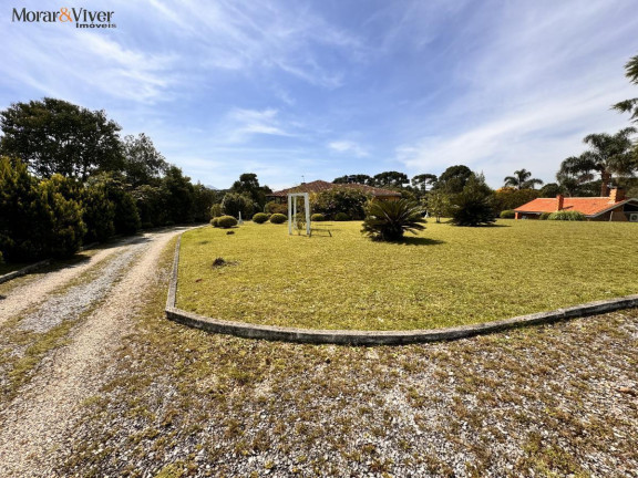Imagem Chácara com 4 Quartos à Venda, 7.700 m² em Loteamento Chácara Chantecler - Piraquara