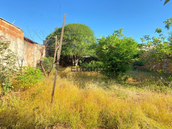 Imagem Casa com 2 Quartos à Venda, 460 m² em Vila Silvares - Birigui Imagem Casa com 2 Quartos à Venda, 460 m² em Vila Silvares - Birigui