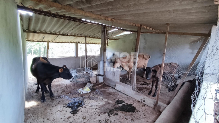 Imagem Imóvel com 4 Quartos à Venda, 35.000 m² em Paranoá - Brasília Imagem Imóvel com 4 Quartos à Venda, 35.000 m² em Paranoá - Brasília