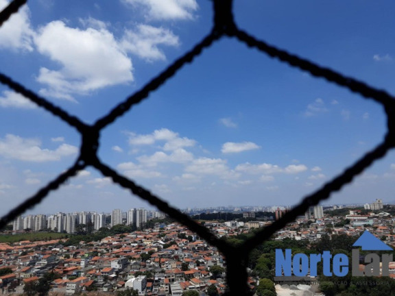 Imagem Apartamento com 2 Quartos à Venda, 54 m² em Vila Pereira Barreto - São Paulo Imagem Apartamento com 2 Quartos à Venda, 54 m² em Vila Pereira Barreto - São Paulo