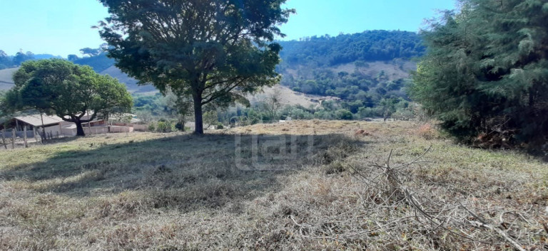 Imagem Imóvel com 1 Quarto à Venda, 2.156 m² em Bairro Marambaia (rural) - Bandeira Do Sul Imagem Imóvel com 1 Quarto à Venda, 2.156 m² em Bairro Marambaia (rural) - Bandeira Do Sul