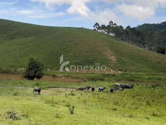 Fazenda à Venda, 600 m² em Pouso Alto - Natividade Da Serra