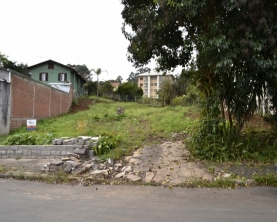 Imagem Imóvel à Venda, 984 m² em Logradouro - Nova Petrópolis Imagem Imóvel à Venda, 984 m² em Logradouro - Nova Petrópolis