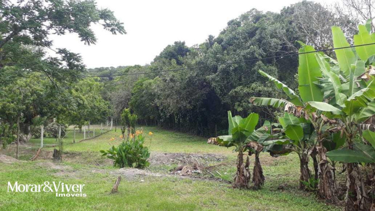 Imagem Chácara com 3 Quartos à Venda, 84.750 m² em Alexandra - Paranaguá Imagem Chácara com 3 Quartos à Venda, 84.750 m² em Alexandra - Paranaguá