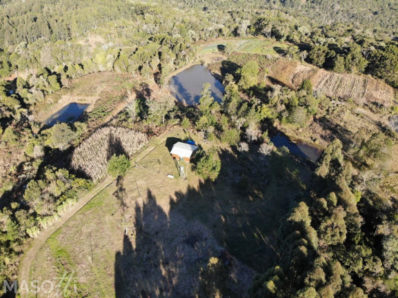 Imagem Chácara com 2 Quartos à Venda, 18.000 m² em Zona Rural - Três Coroas Imagem Chácara com 2 Quartos à Venda, 18.000 m² em Zona Rural - Três Coroas