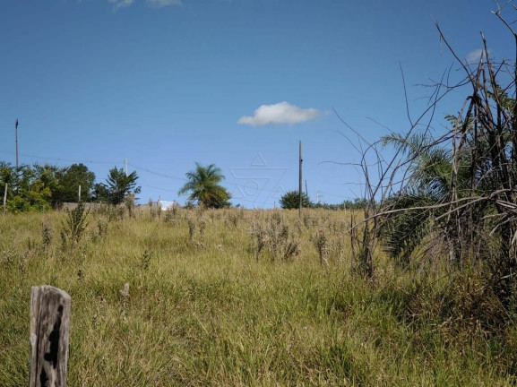 Imagem Imóvel à Venda, 24.200 m² em área Rural De Engenheiro Coelho - Engenheiro Coelho